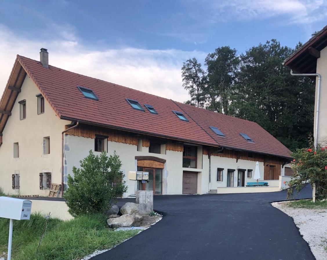 Апартаменты T2 Meuble De 40M2 Axe Annecy/Geneve Saint-Martin-Bellevue Экстерьер фото